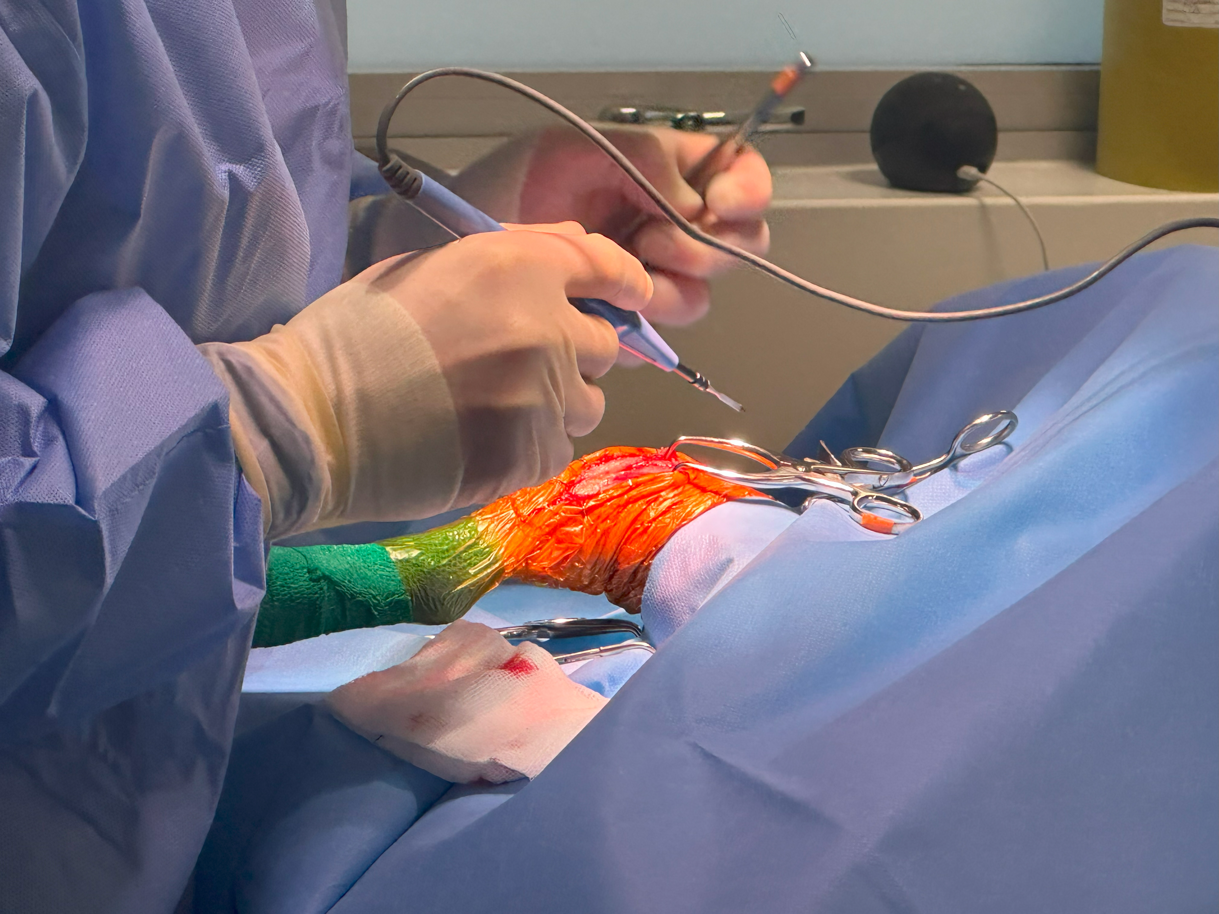 A pet being operated on using Pennine's veterinary surgical equipment